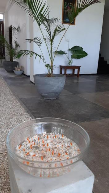 Akurala Beach Boutique Resort Zewnętrze zdjęcie