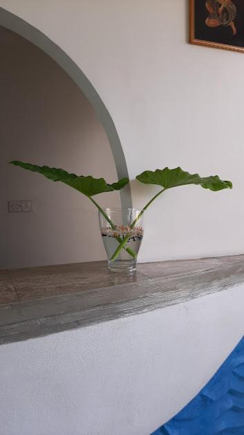 Akurala Beach Boutique Resort Zewnętrze zdjęcie