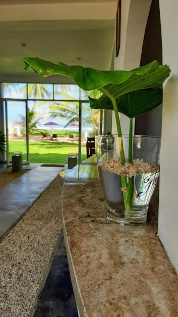 Akurala Beach Boutique Resort Zewnętrze zdjęcie
